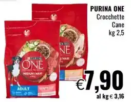 Famila PURINA ONE Crocchette Cane offerta