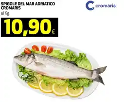 Coop Spigole del mar adriatico cromaris offerta