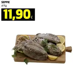 Coop Seppie offerta