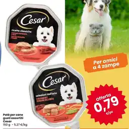 Despar Patè per cane Cesar offerta
