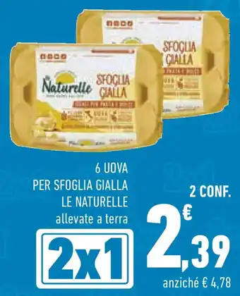 6 uova per sfoglia gialla LE NATURELLE allevate a terra