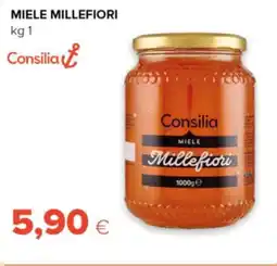 Oasi Consilia miele millefiori offerta