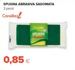 Oasi Consilia spugna abrasiva sagomata offerta