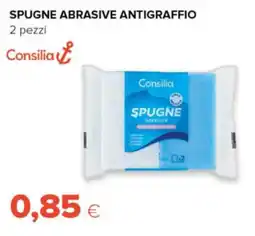 Oasi Consilia spugne abrasive antigraffio offerta
