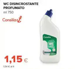 Oasi Consilia wc disincrostante profumato offerta