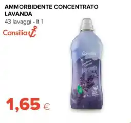Oasi Consilia ammorbidente concentrato lavanda offerta