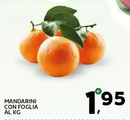 Extra Supermercati Mandarini con foglia offerta
