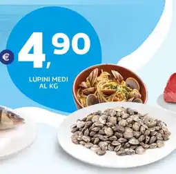 Extra Supermercati Lupini medi offerta
