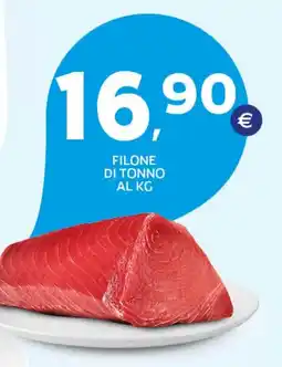 Extra Supermercati Filone di tonno offerta