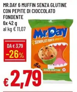 Galassia Mr.day 6 muffin senza glutine con pepite di cioccolato fondente offerta