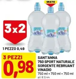 DPiù Sant'anna 750 sport naturale sorgente rebruant vinadio offerta