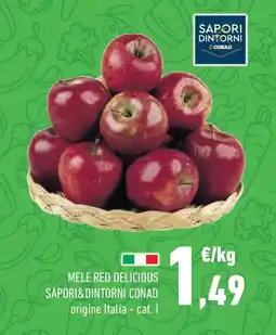 Conad Mele red delicious SAPORI&DINTORNI CONAD offerta