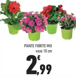 Conad Superstore Piante fiorite mix offerta