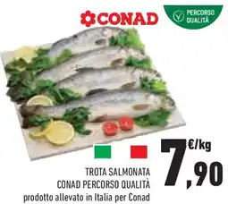 Conad Superstore Trota salmonata CONAD PERCORSO QUALITÀ offerta