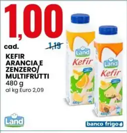 Eurospin Land Kefir arancia e zenzero multifrutti offerta
