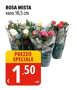 Tigros Rosa mista vaso 10,5 cm offerta