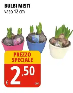 Tigros Bulbi misti vaso 12 cm offerta