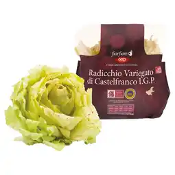 Coop RADICCHIO VARIEGATO DI CASTELFRANCO I.G.P. FIOR FIORE offerta