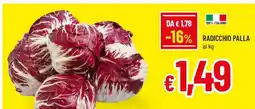 Famila RADICCHIO PALLA offerta