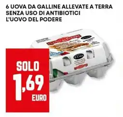 Panorama 6 uova da galline allevate a terra senza uso di antibiotici l'uovo del podere offerta