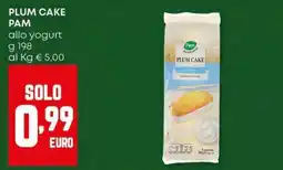 Panorama Plum cake PAM offerta