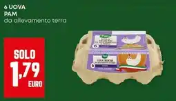 Panorama 6 UOVA PAM da allevamento terra offerta