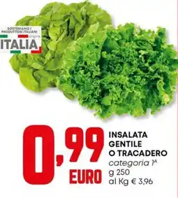 Panorama Insalata gentile o tracadero offerta