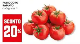 Panorama Pomodoro ramato offerta