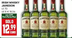 Panorama Irish whisky JAMESON offerta
