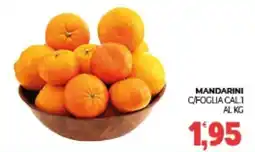Eté Mandarini c/foglia offerta
