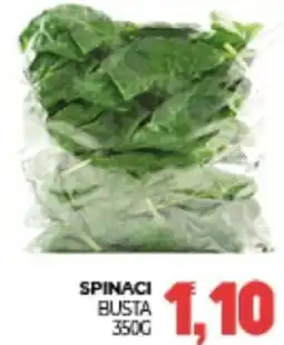 Eté Spinaci busta offerta