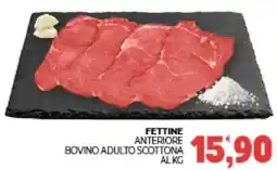Eté Fettine anteriore bovino adulto scottona offerta