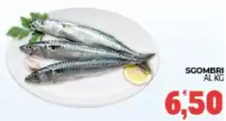 Eté Sgombri offerta