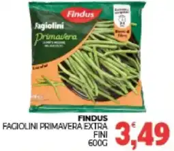 Eté Findus fagiolini primavera extra fini offerta