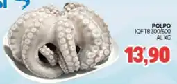 Eté Polpo iqftb 300/500 offerta