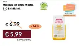 Prezzemolo e Vitale Mulino marino farina bio enkir offerta