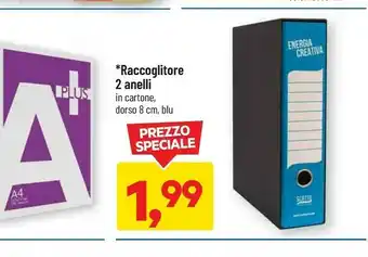 Raccoglitore 2 anelli