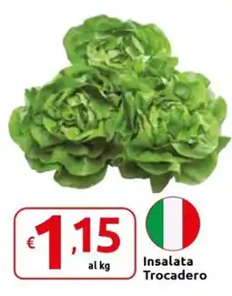 Carrefour Express Insalata Trocadero offerta