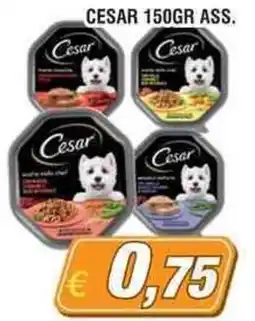 Maury's Cesar offerta