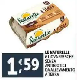 Deco Supermercati Le naturelle 6 uova fresche senza antibiotici da allevamento a terra offerta
