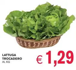 èccoMI Lattuga trocadero offerta