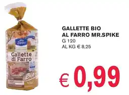 èccoMI Gallette bio al farro MR.SPIKE offerta