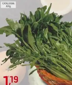 Supermercato Fratelli Scotto Catalogna offerta