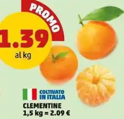 PENNY Clementine offerta