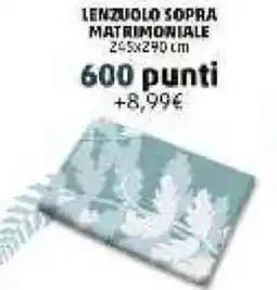 PENNY Lenzuolo sopra matrimoniale offerta