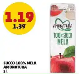 PENNY Succo 100% mela amonatura offerta
