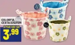 Risparmio Casa Colorful cesta offerta