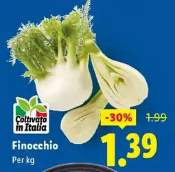 Lidl Finocchio offerta