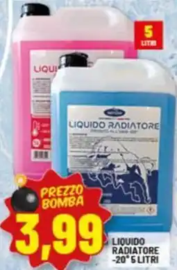 Risparmio Casa Liquido radiatore offerta