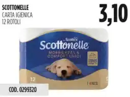 Carico Cash & Carry Scottonelle carta igienica 12 rotoli offerta